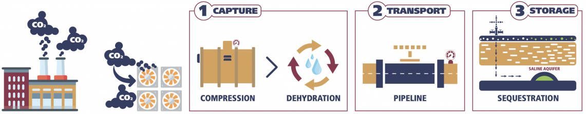 Hawthorn-CCS-Hub Phases